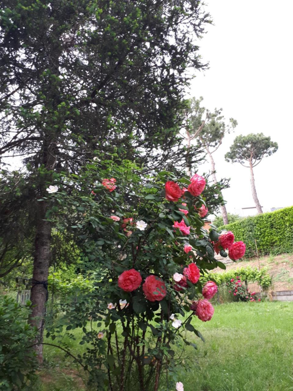 B&B Papa Leone Countryrooms Roma Dış mekan fotoğraf